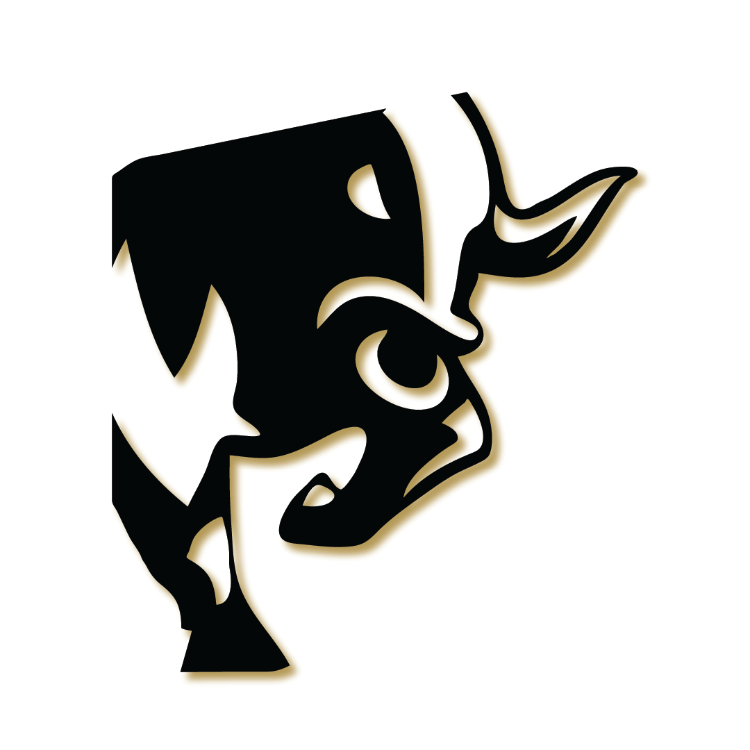  TeamTaurus Throwdown